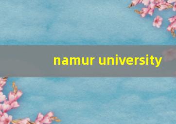 namur university